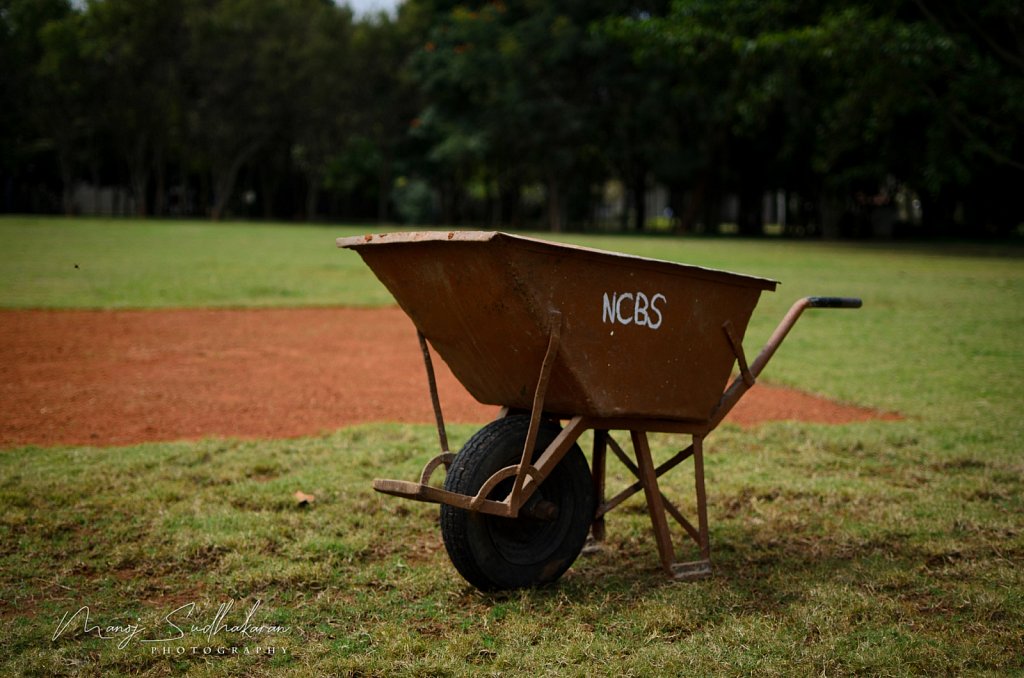 Institutional025.jpg
